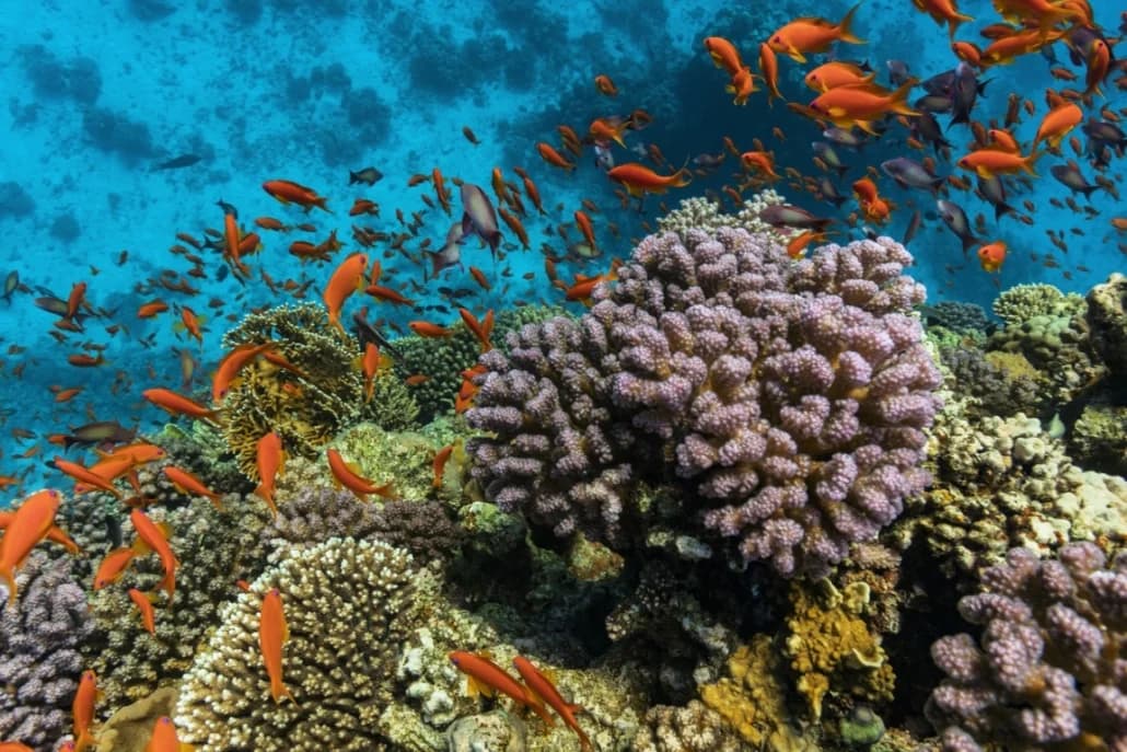 The Cascades Golf Resort, Spa & Thalasso - Photo 2