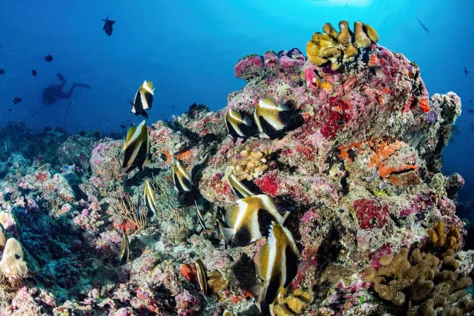 Sindbad Submarine Hurghada - Photo 3