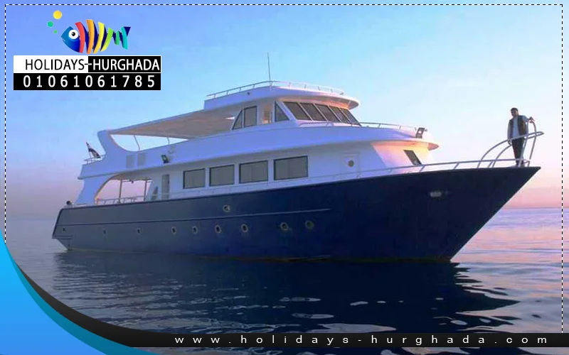 Dolphin House Hurghada - Photo 2