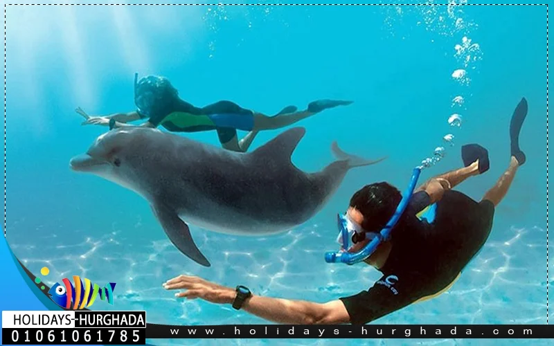 Dolphin House Hurghada - Photo 3