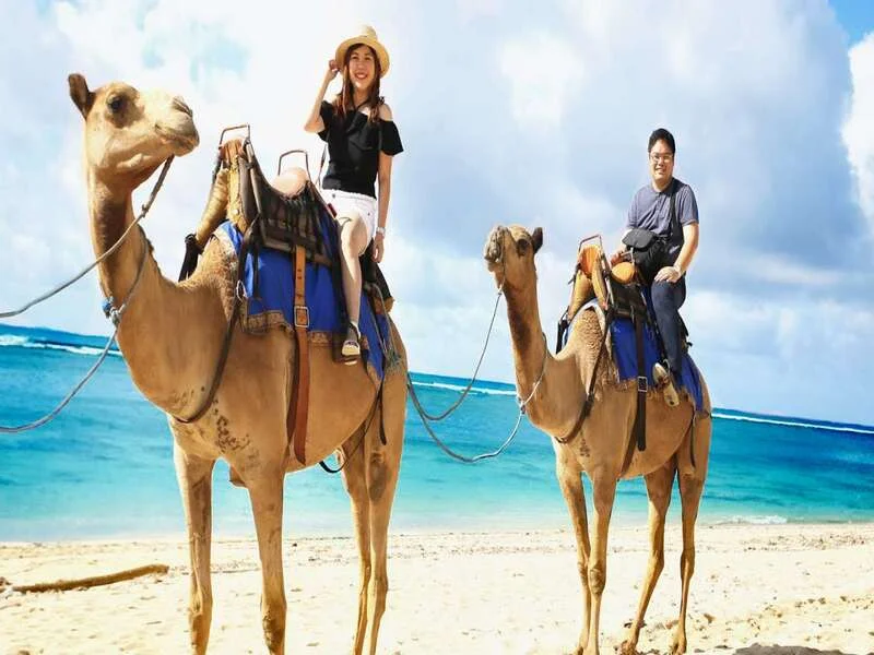 Coloured Canyon & Blue Hole - Photo 1