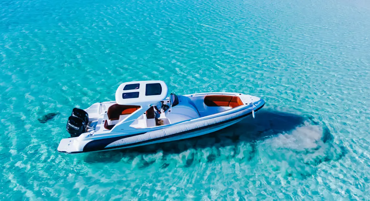 Paradise Island Trip with Redsea Dolphin - Photo 1