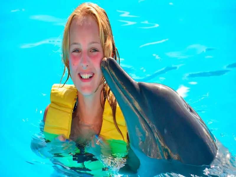 Swimming with Dolphins - Photo 1